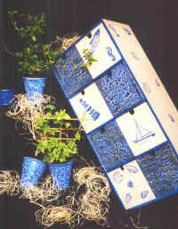 SOHKastjeblauw.jpg (29178 bytes)